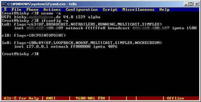 Screenshot of terminal session showing network configuration