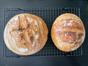 Two loaves of sourdough bread on a cooling rack