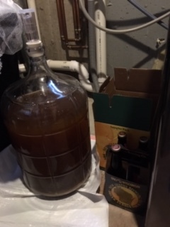 Finished brew in carboy ready to ferment