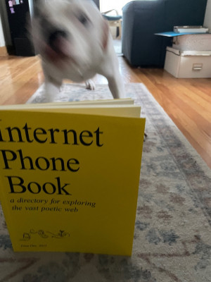 A blurry Bubbles behind the Internet Phone Book