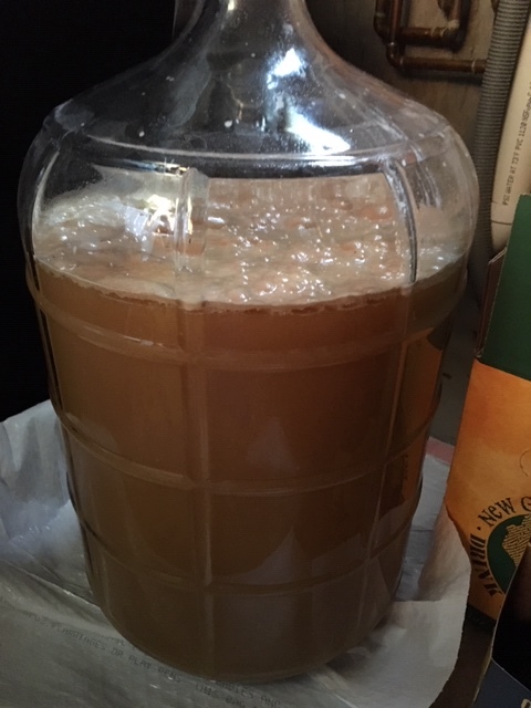 Carboy full of fermenting beer