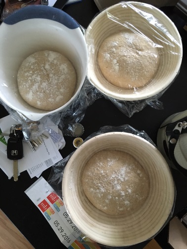 Three bowls with bread dough proofing in them