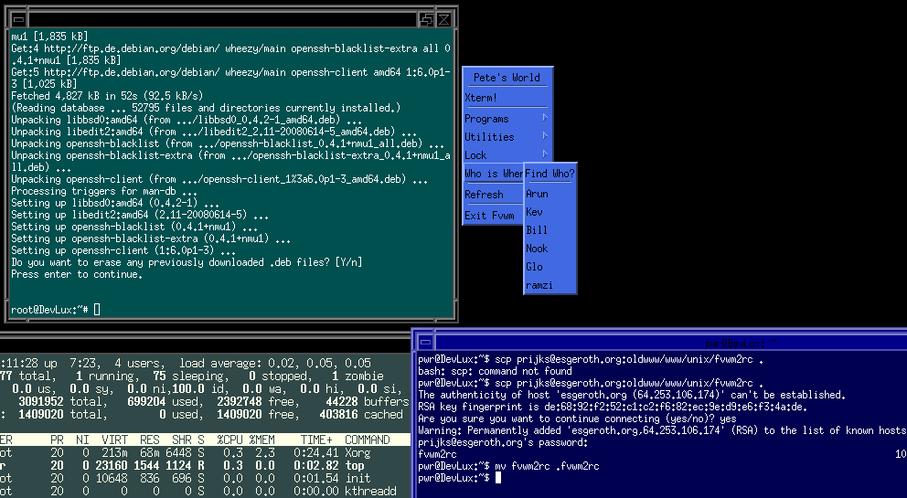 FVWM2 with a few windows and a menu opened