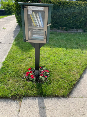 Petunias around the base of a little free library 