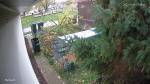 View of the new Chicken run location from the backyard cam