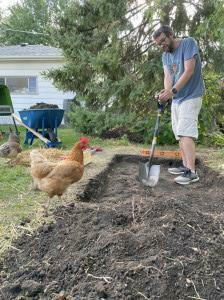 Pete and chickens working on their new run